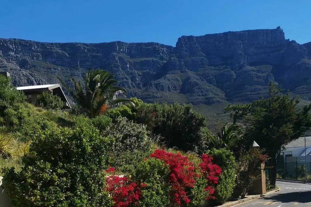 Disa Park Studio With Mountain Views Cape Town Apartment