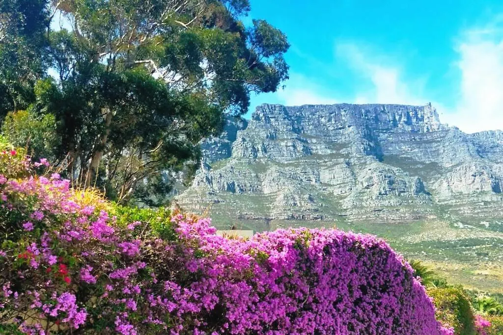 Disa Park Studio With Mountain Views Cape Town 0*,